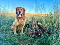 IMG_6749.jpeg