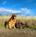 IMG_6736.jpeg