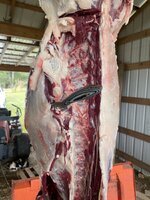 IMG_7609.jpeg
