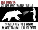 216FBD31-7A2E-4748-BEB4-FD82B9469B86.jpeg