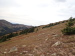 P9150120.JPG