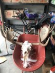 122381