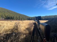 IMG_3657.jpeg