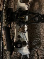 IMG_8114.jpeg