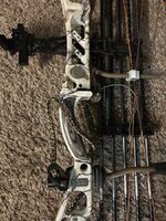 IMG_8112.jpeg