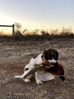 IMG_5759.jpeg