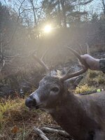 IMG_2629.jpeg