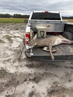 IMG_7640.jpeg