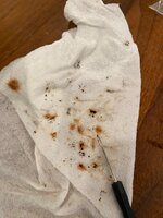 IMG_6375.jpeg