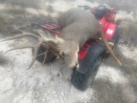 IMG_7156.jpeg