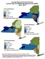 NY average antler score by age class 2015 thru 2017.jpg