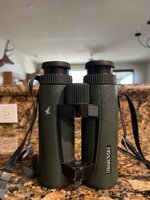IMG_3897.jpeg