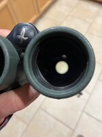 IMG_3893.jpeg