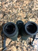 IMG_3900.jpeg
