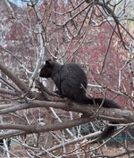 IMG_1363.jpeg