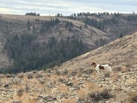 IMG_0649.jpeg