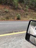 IMG_4367.jpeg