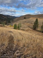 20251011_100800(1).jpg