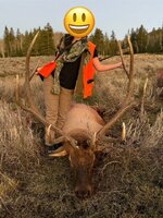 Elli elk smile.jpg