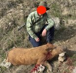 deadpiggy.JPEG