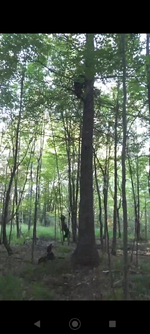 Screenshot_20251027-221701.png