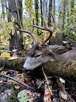 IMG_5914.jpeg