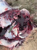 IMG_1381.jpeg IMG_1381.jpeg