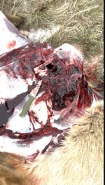 IMG_1417.jpeg IMG_1417.jpeg