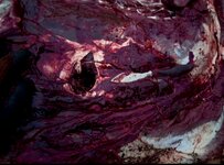 IMG_1413.jpeg IMG_1413.jpeg