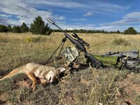 yote20.jpg yote20.jpg