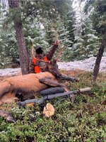 IMG_3492.jpeg IMG_3492.jpeg