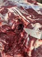 IMG_3501.jpeg IMG_3501.jpeg