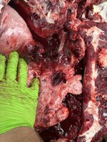 IMG_3503.jpeg IMG_3503.jpeg