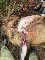 IMG_3508.jpeg IMG_3508.jpeg