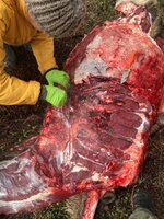 IMG_3522.jpeg IMG_3522.jpeg