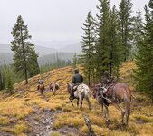 IMG_0634.jpeg IMG_0634.jpeg