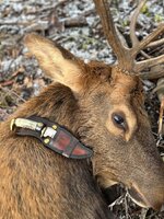 IMG_8392.jpeg IMG_8392.jpeg