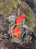 IMG_8400.jpeg IMG_8400.jpeg