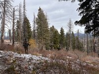 IMG_8411.jpeg IMG_8411.jpeg