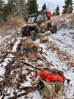 IMG_8424.jpeg IMG_8424.jpeg