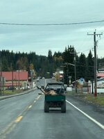 IMG_8350.jpeg IMG_8350.jpeg