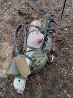 1761759764787.jpeg 1761759764787.jpeg