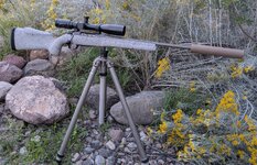 PXL_20251017_001654351.jpg PXL_20251017_001654351.jpg