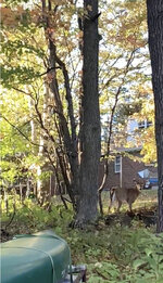 Screenshot 2025-10-29 at 18.01.15.jpg