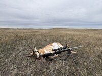 IMG_2838.jpeg IMG_2838.jpeg