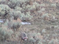 1000004703.jpg 1000004703.jpg