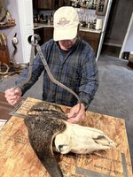 IMG_5434.jpeg IMG_5434.jpeg