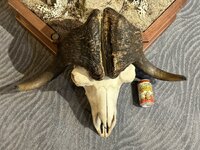 IMG_5196.jpeg IMG_5196.jpeg