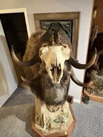 IMG_5194.jpeg IMG_5194.jpeg