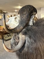 IMG_5195.jpeg IMG_5195.jpeg